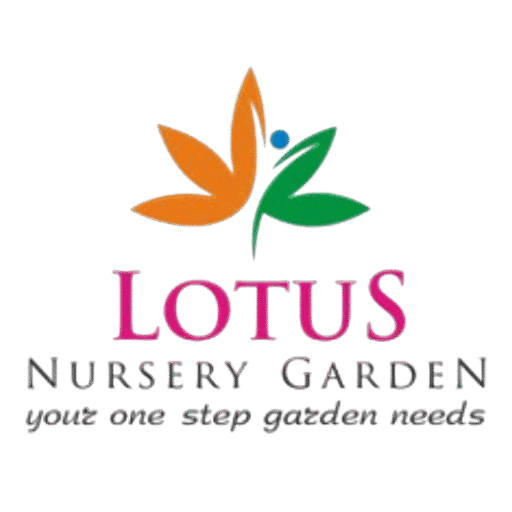lotus-nursery-logo