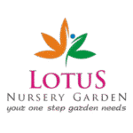 lotus-nursery-logo