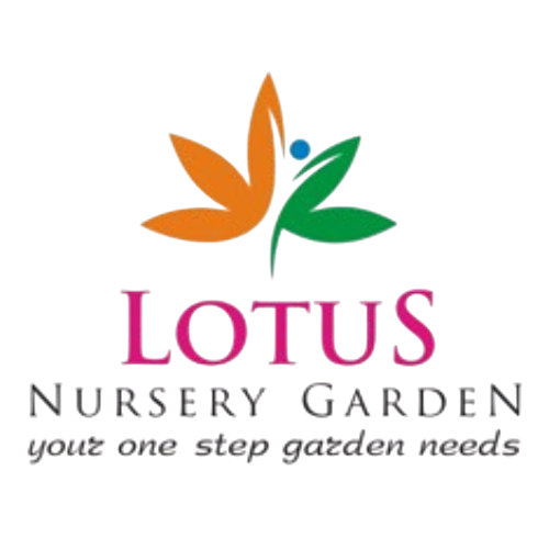 lotus-nursery-logo