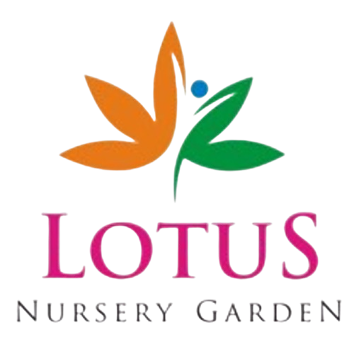 lotus-nursery-logo